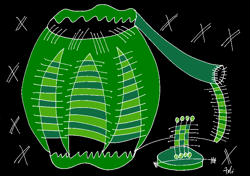 Digital - 2016 drawing